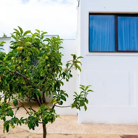 Avenue - Avenue 3* Venus