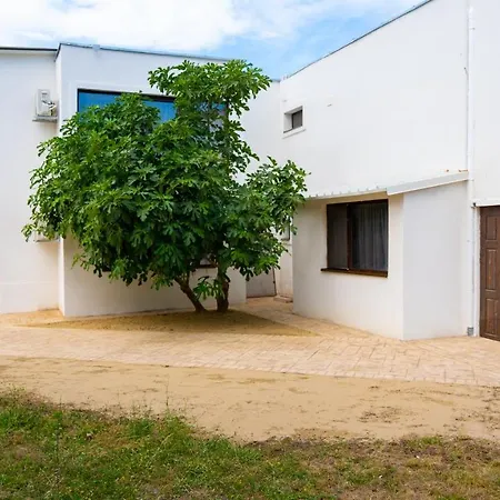 Avenue - Avenue Venus