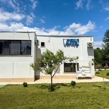 Hotel Avenue - Avenue