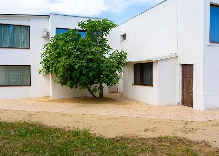 Avenue - Avenue Venus